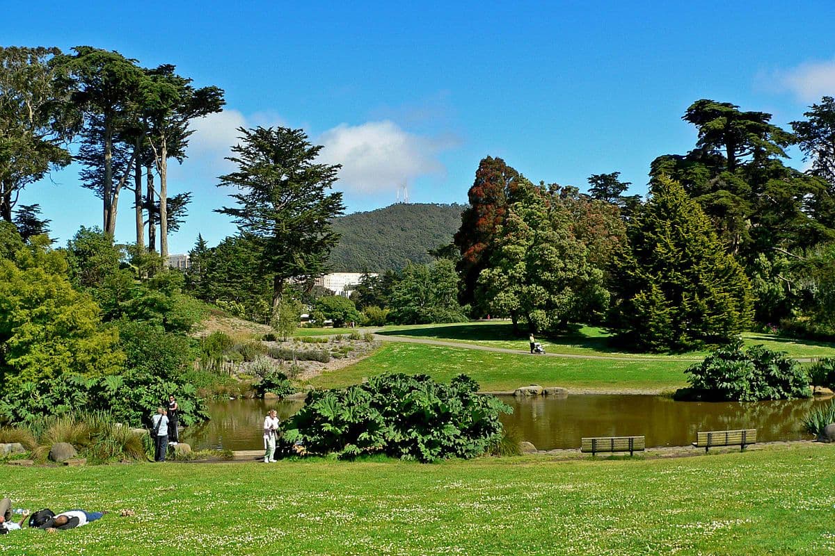 Victorian Home on Golden Gate Park, Slow Street - Photo 47