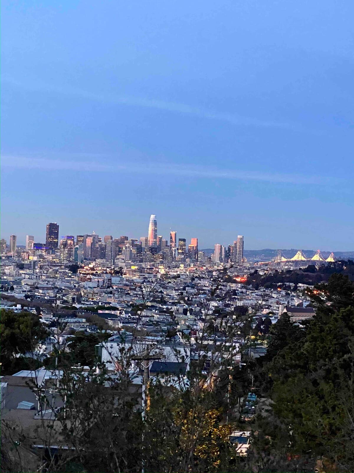 Bernal Heights Victorian w/ Hot Tub & EV Charger - Photo 33