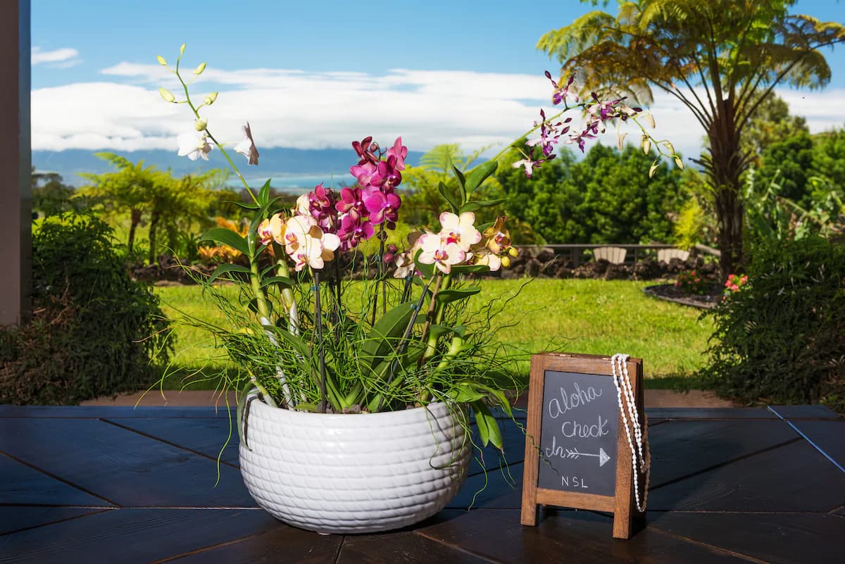 North Shore Lookout Maui - PELE SUITE - Maui B&B - Image 15
