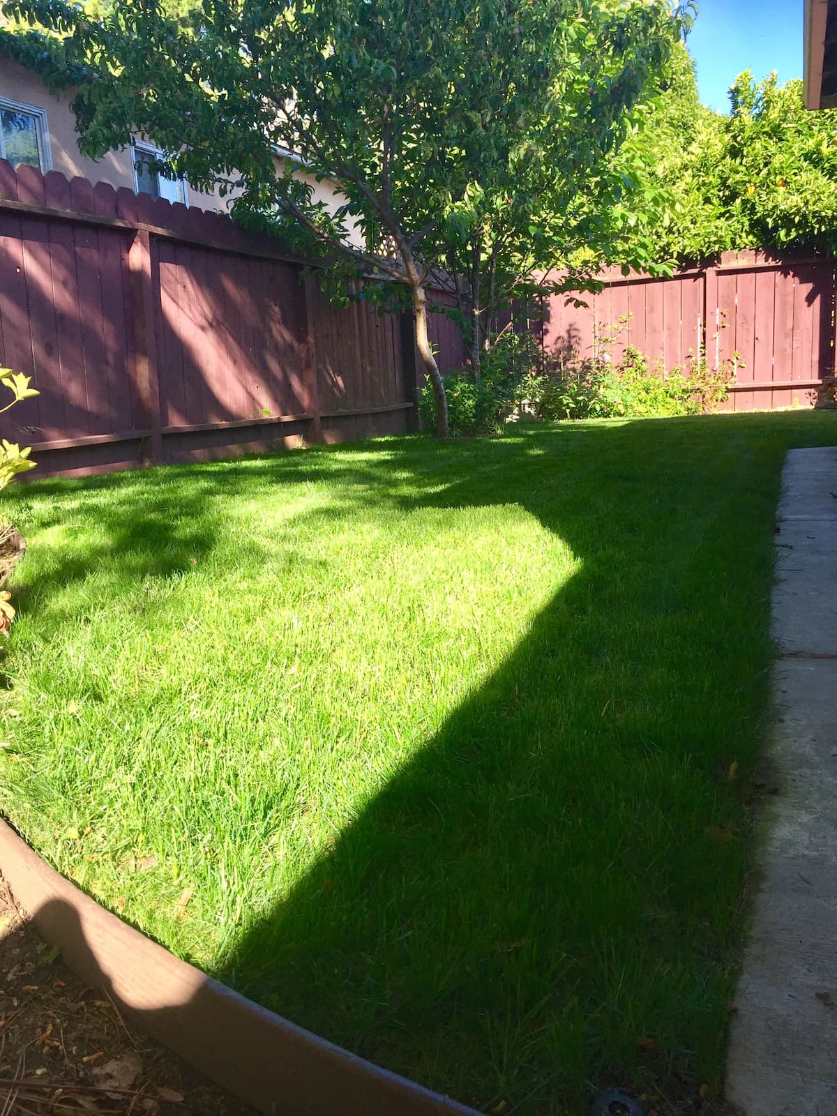 Home in Redwood City · ★4.8 · 3 bedrooms · 4 beds · 2 baths - Image 24