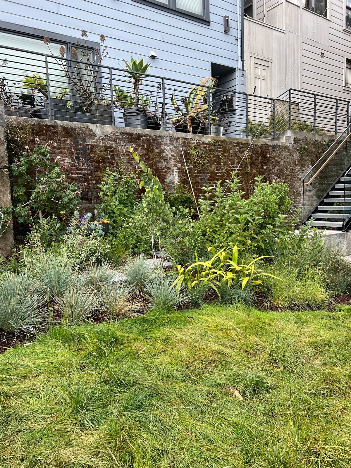 Russian Hill Architectural Gem with Bay Views - Photo 29