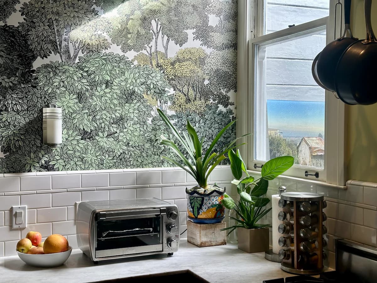 Bernal Heights Victorian w/ Hot Tub & EV Charger - Photo 8