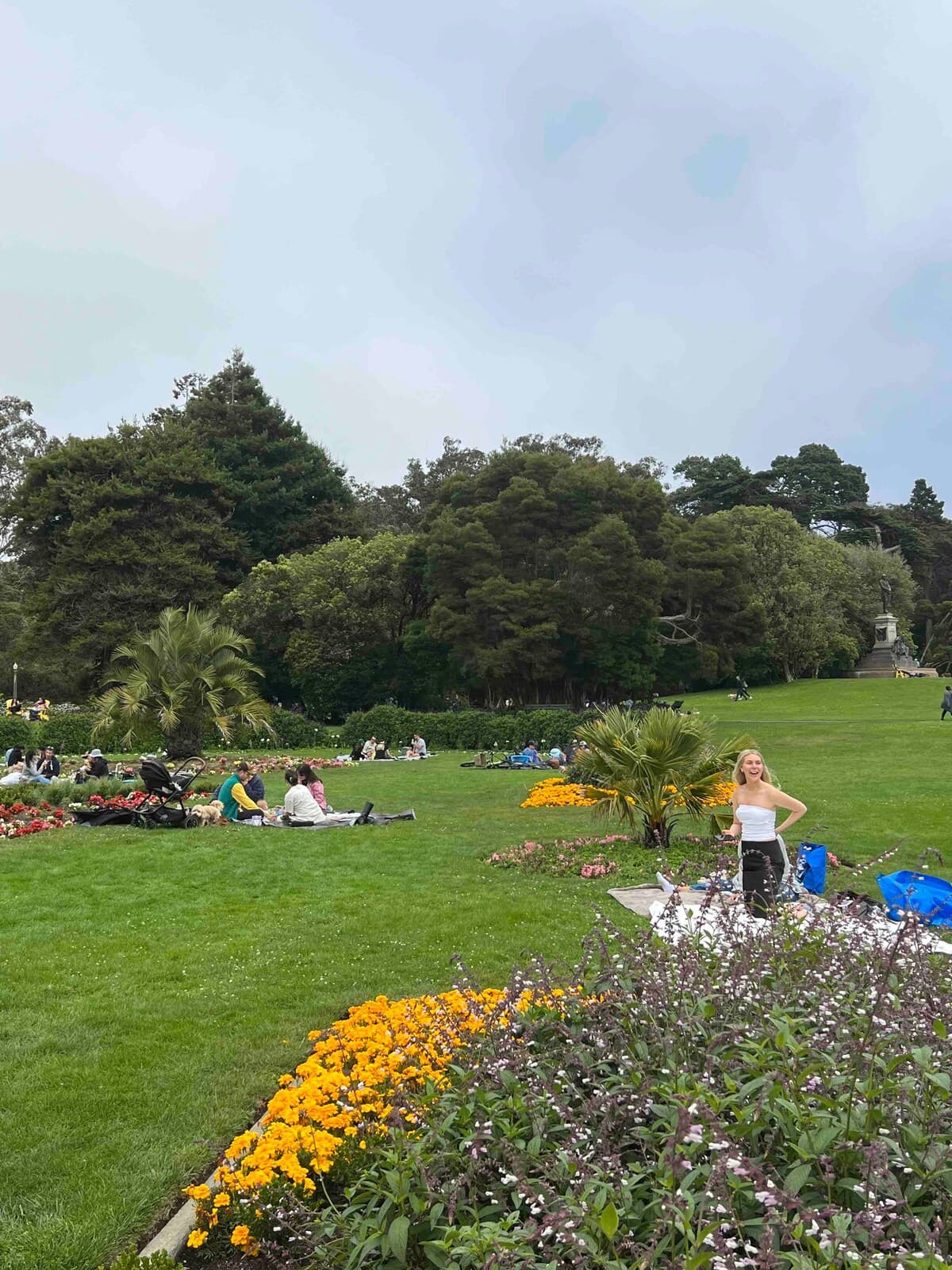 Cozy 2BR Near Golden Gate Park, Pets OK - Photo 36