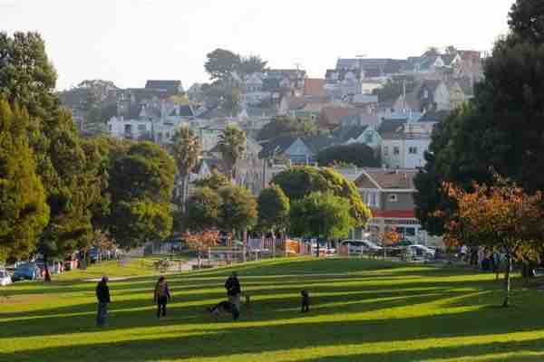 Private Garden Guest Suite in Bernal Heights - Photo 43
