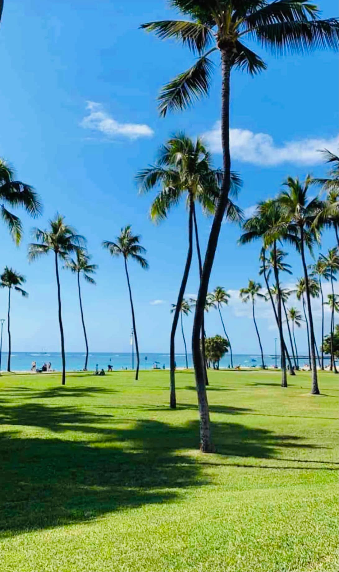 Condo in Honolulu · ★4.58 · 2 bedrooms · 3 beds · 2 baths - Image 28