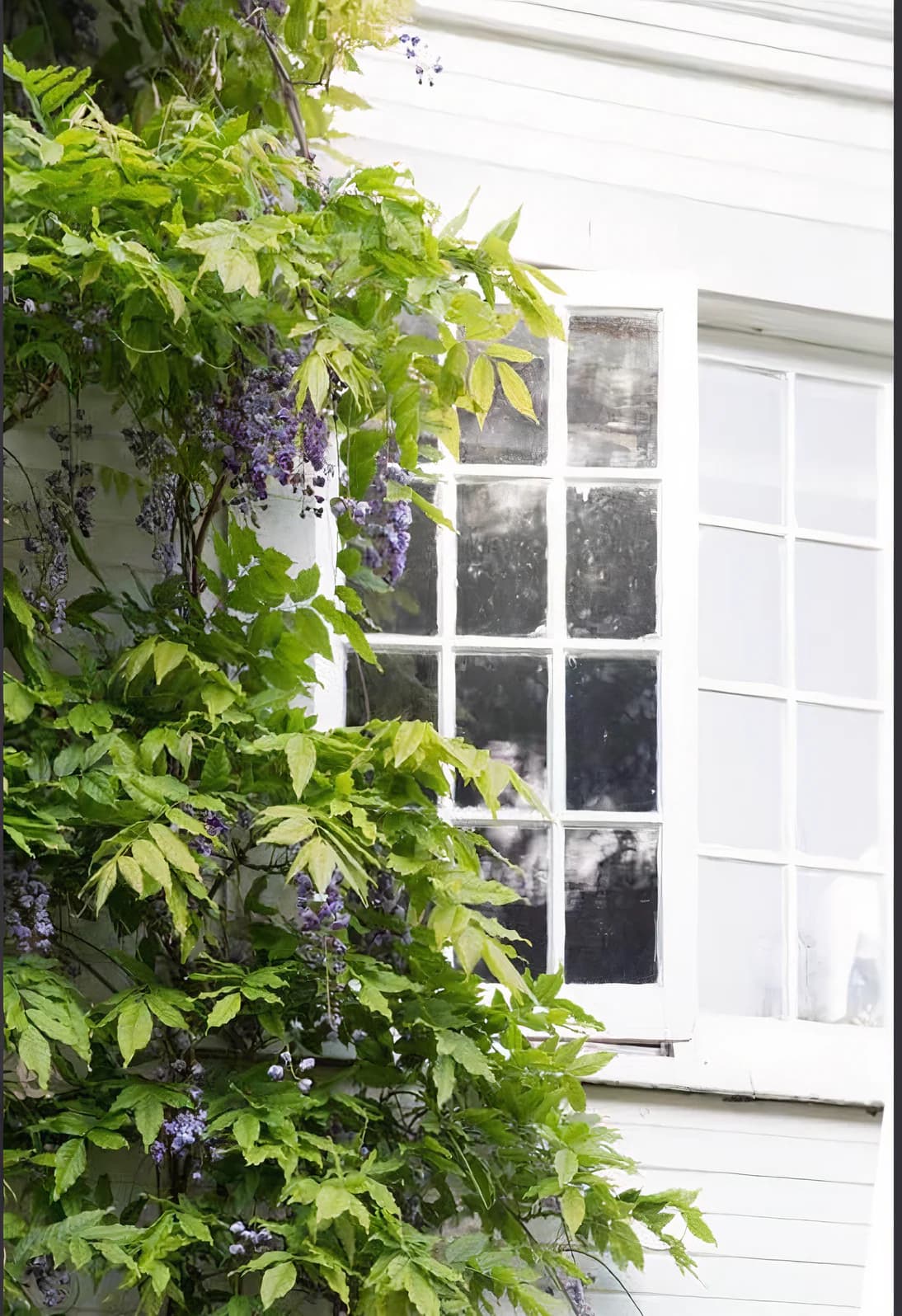 Edwardian Villa with Panoramic Views & Sauna - Photo 29