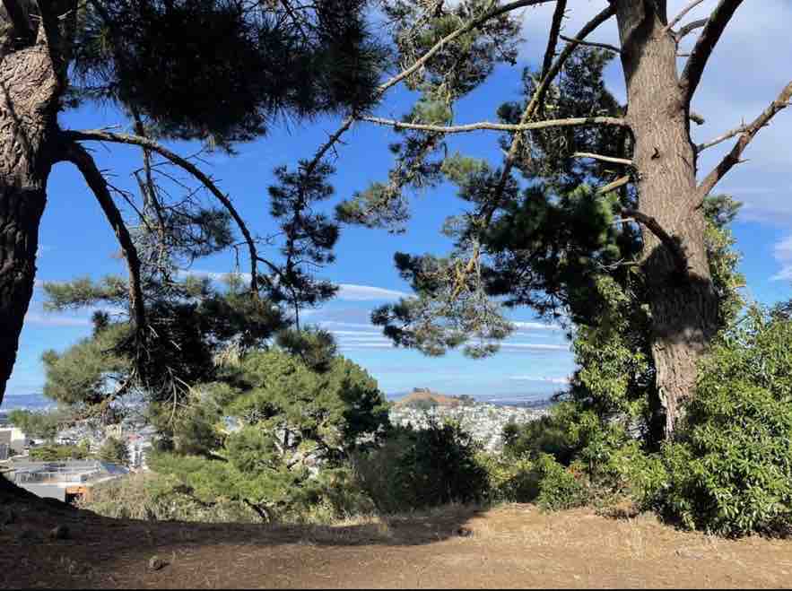 Noe Valley Hilltop Home with Bay & Skyline Views - Photo 19