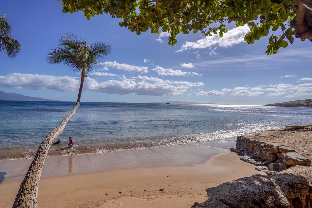 Condo in Wailuku · ★4.75 · 1 bedroom · 1 bed · 1 bath - Image 44