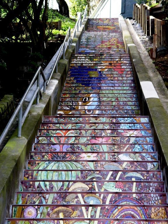Inner Sunset Home Steps from Golden Gate Park - Photo 38