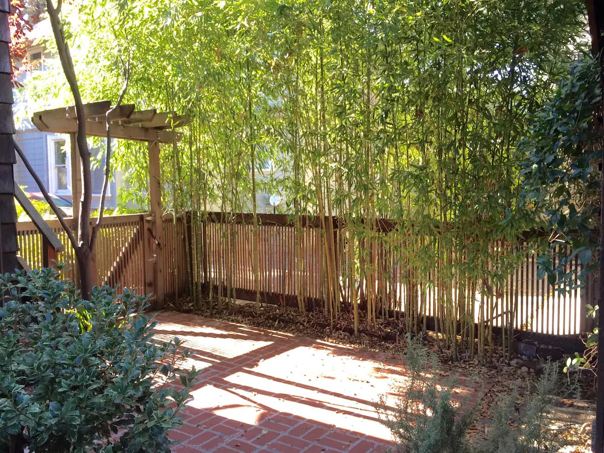 Guesthouse in Palo Alto · ★4.93 · 1 bedroom · 1 bed · 1 bath - Image 21