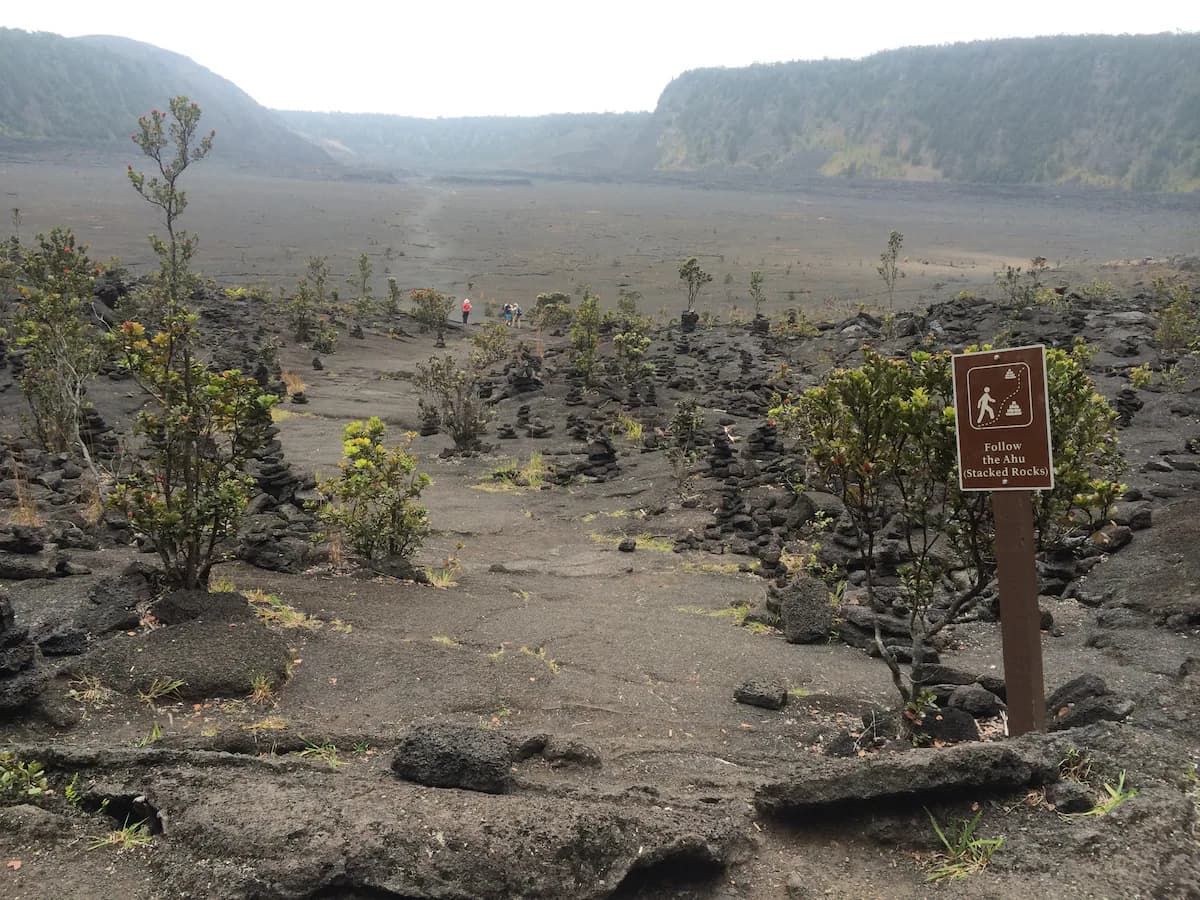Explorer's Bungalow - Explore Volcanoes NP! - Image 43
