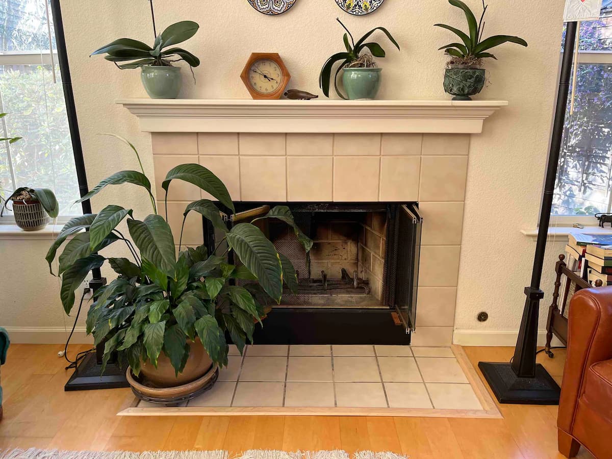Home in Mountain View · ★4.94 · 2 bedrooms · 2 beds · 2.5 baths - Image 3