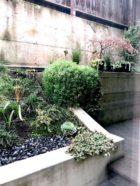 Dolores Park Garden Suite - Photo 15