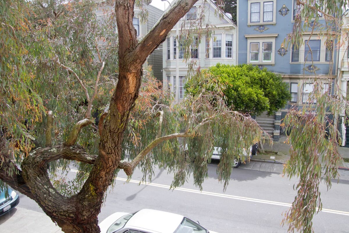 Newly Renovated Home Steps from Golden Gate Park - Photo 53