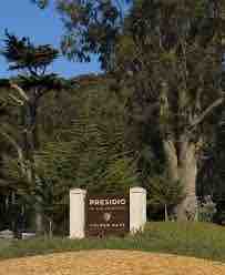 Light-Filled 2BR Near Presidio & Golden Gate Park - Photo 9