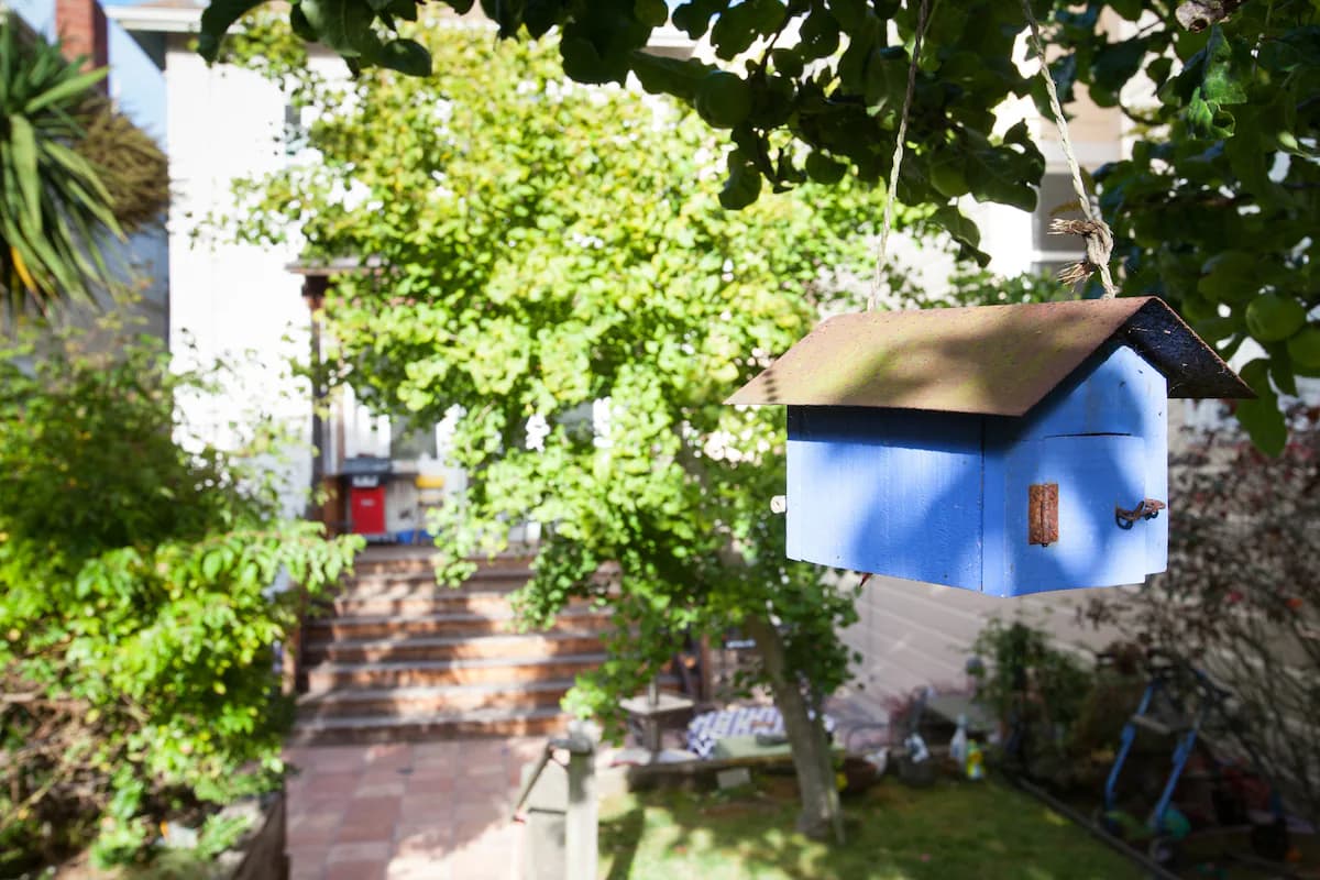 Victorian Home with Huge Yard, Cat Care Required - Photo 40