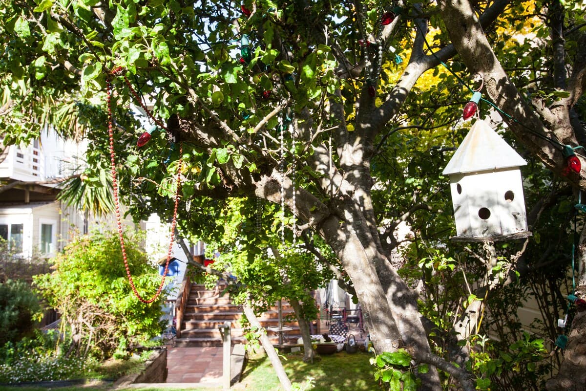 Victorian Home with Huge Yard, Cat Care Required - Photo 56