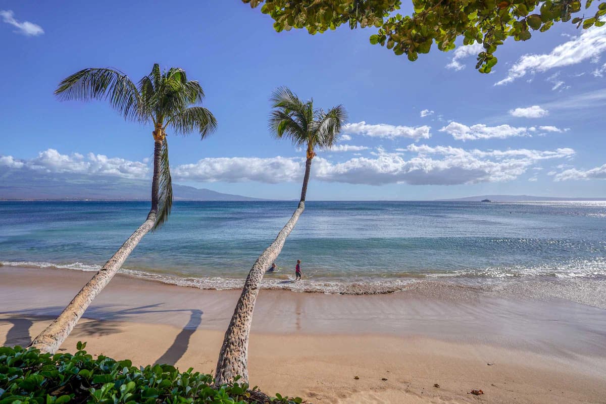 Condo in Wailuku · ★4.75 · 1 bedroom · 1 bed · 1 bath - Image 43
