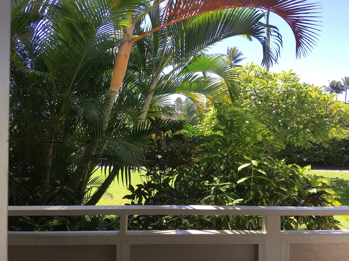Condo in Kapaa · ★4.91 · 1 bedroom · 1 bed · 1 bath - Image 15