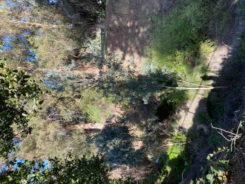 Guesthouse in Menlo Park · ★4.98 · Studio · 3 beds · 1 bath - Image 13
