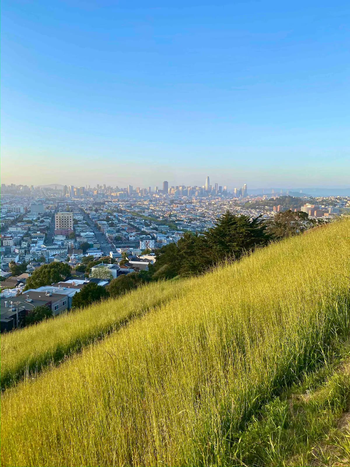 Bernal Heights Victorian w/ Hot Tub & EV Charger - Photo 32