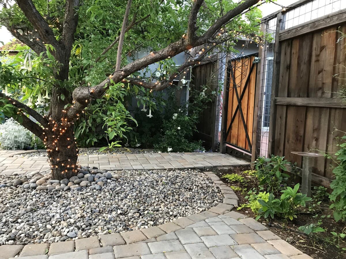 Charming Backyard Cottage in Sunnyvale Garden - Photo 23