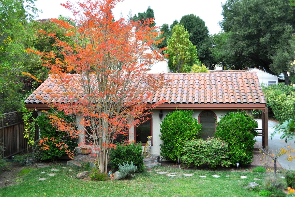 Home in Palo Alto · ★4.91 · 2 bedrooms · 2 beds · 1 bath - Image 15