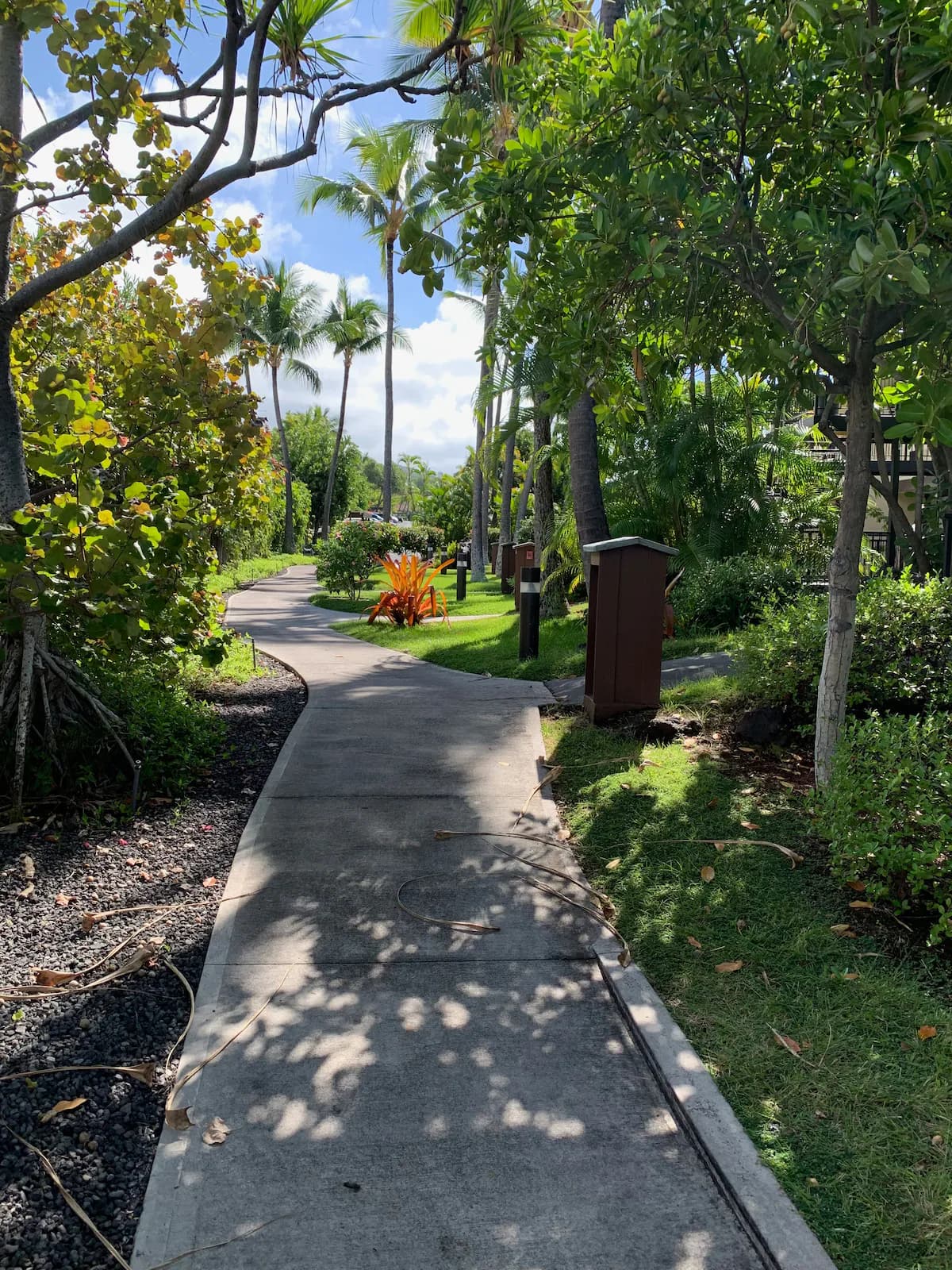 Condo in Kailua-Kona · ★4.96 · 3 bedrooms · 4 beds · 3 baths - Image 26