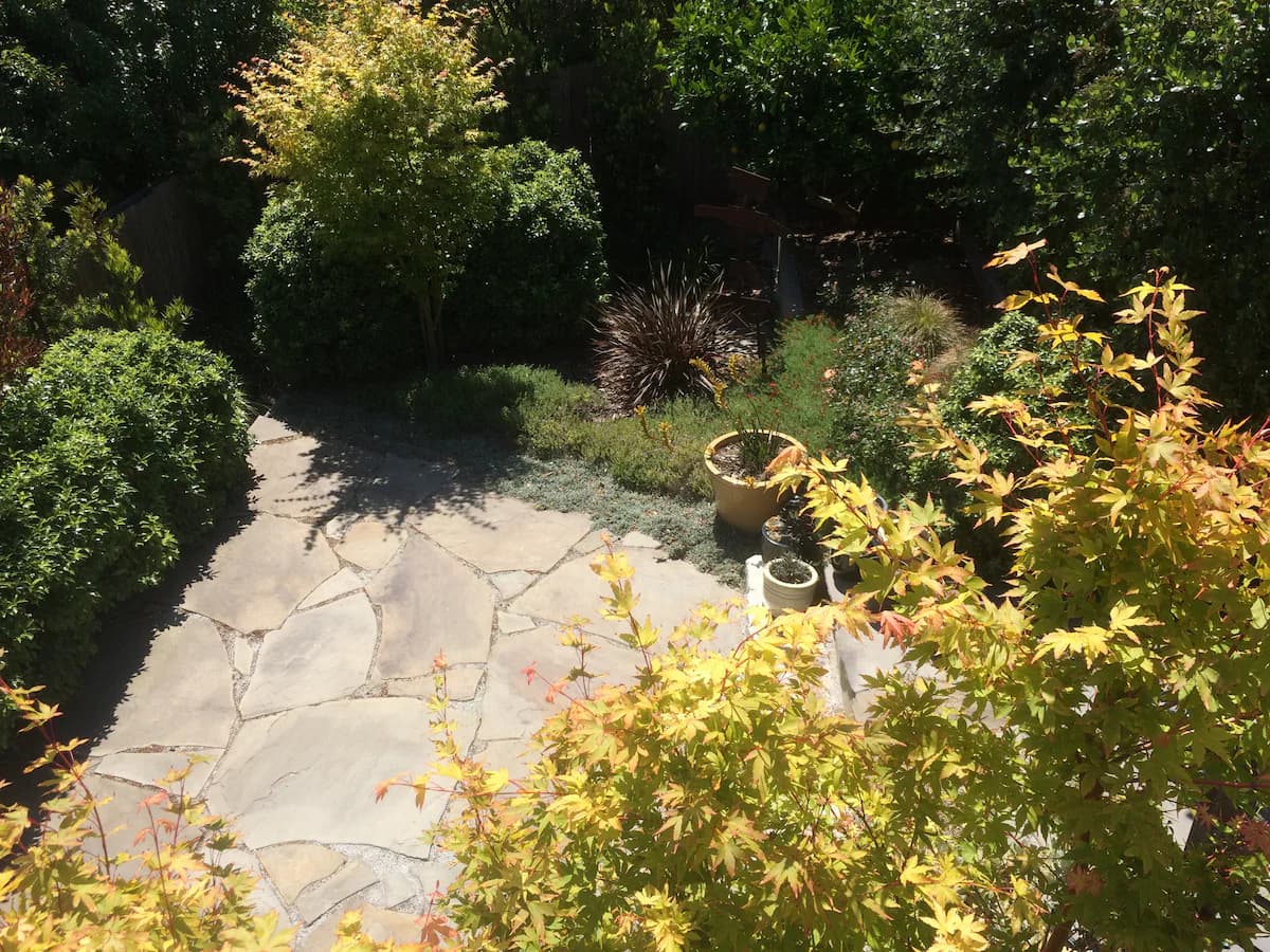 Sunny Noe Valley Hilltop Home with Garden Views - Photo 44