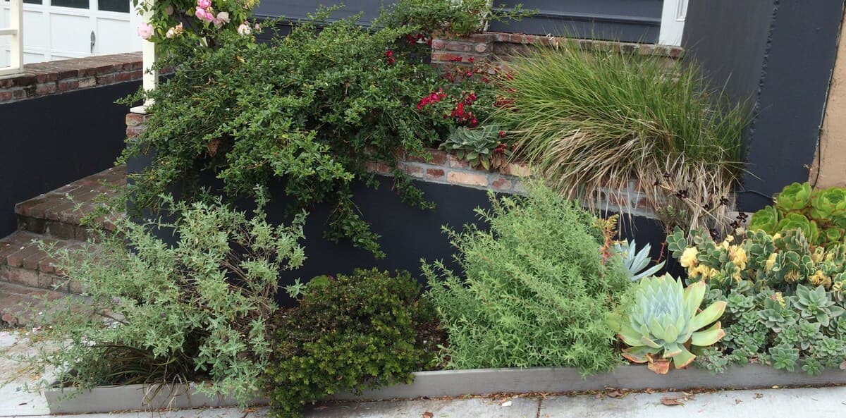 Sunny Noe Valley Hilltop Home with Garden Views - Photo 56