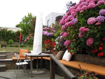 Arts & Crafts Home, Huge Garden, Prime SF - Photo 33