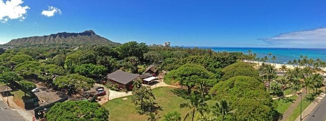 RARE HAWAIIAN DIAMOND - Image 10