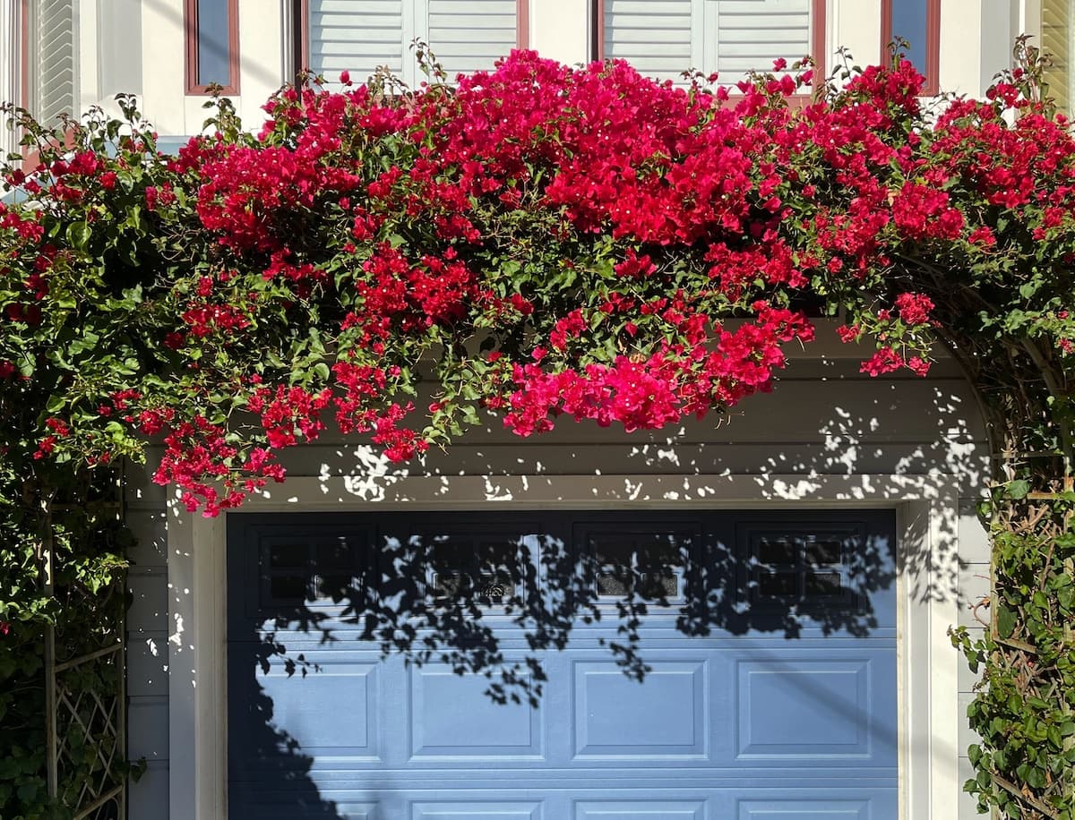 Renovated Victorian in Noe Valley, EV Charger - Photo 1