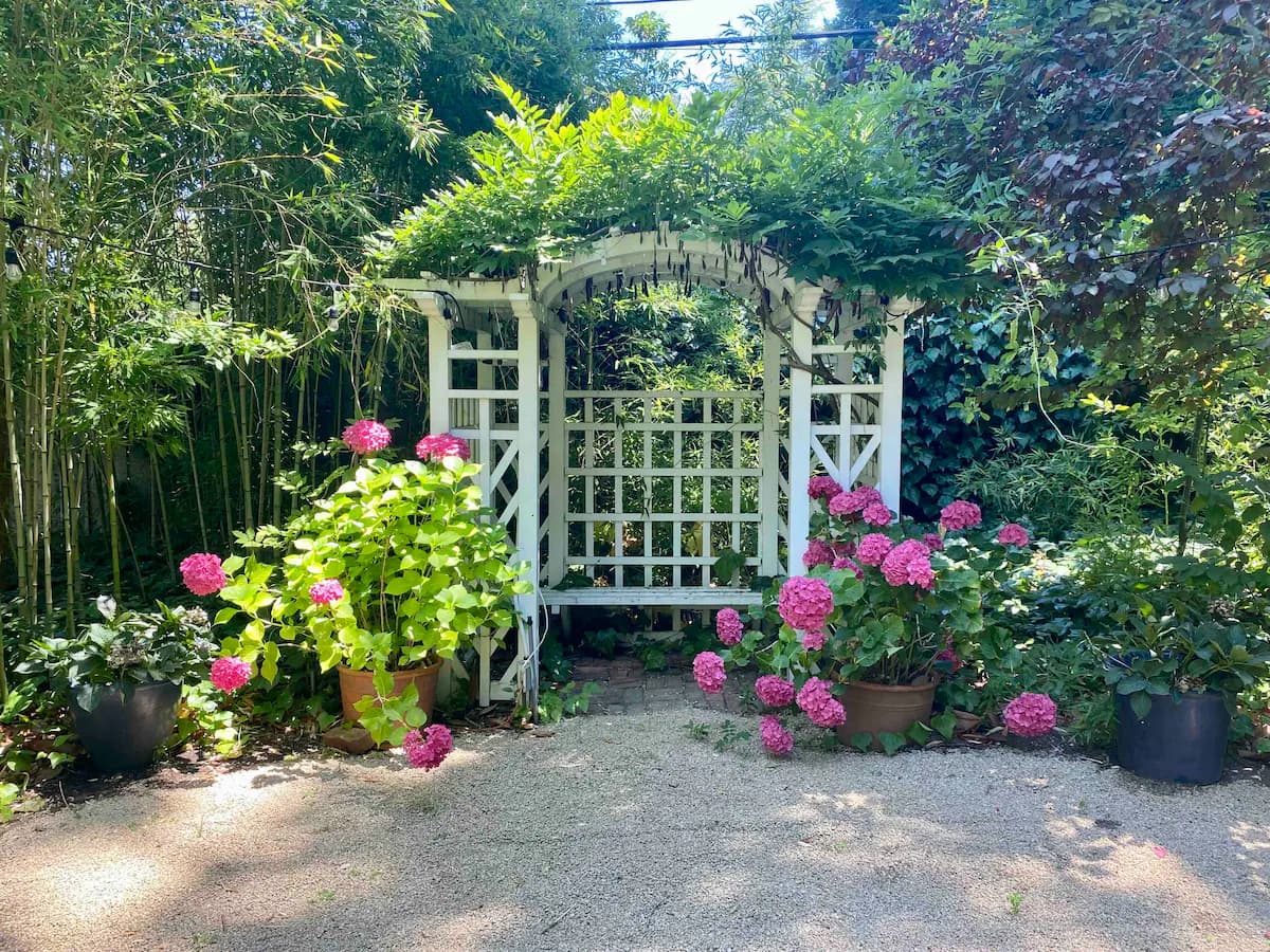 Guesthouse in Atherton · ★5.0 · 1 bedroom · 1 bed · 1 bath - Image 37