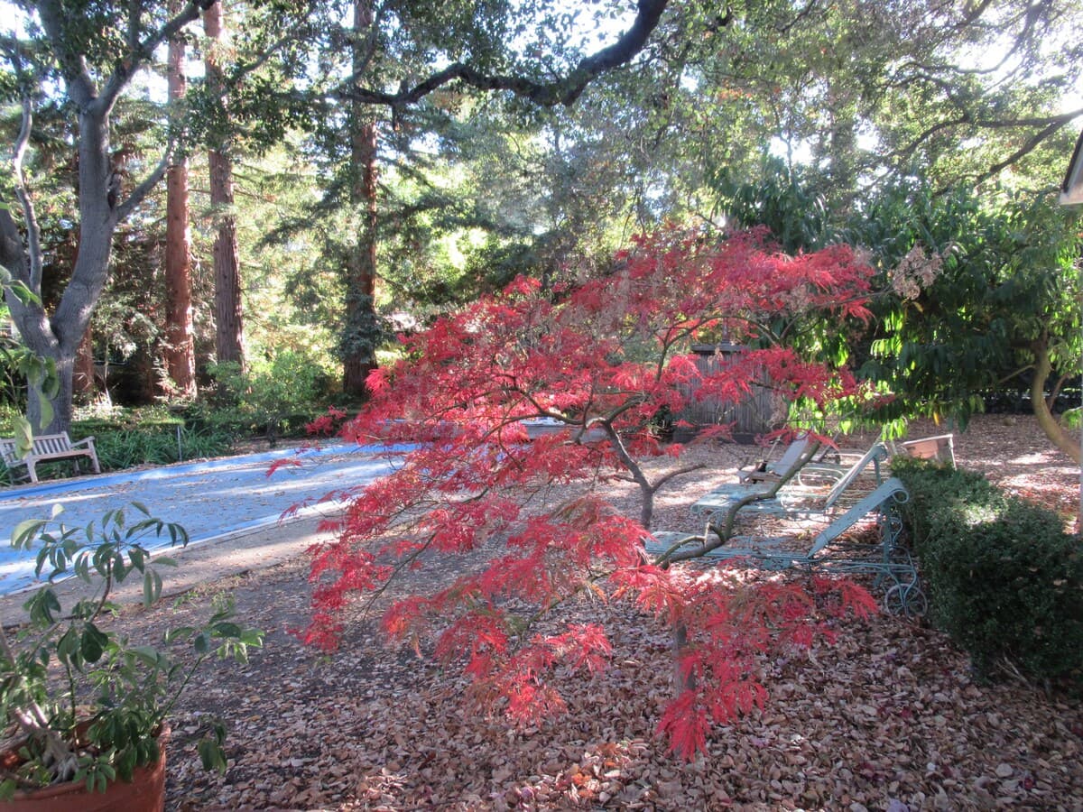 Guesthouse in Atherton · ★5.0 · 1 bedroom · 1 bed · 1 bath - Image 44