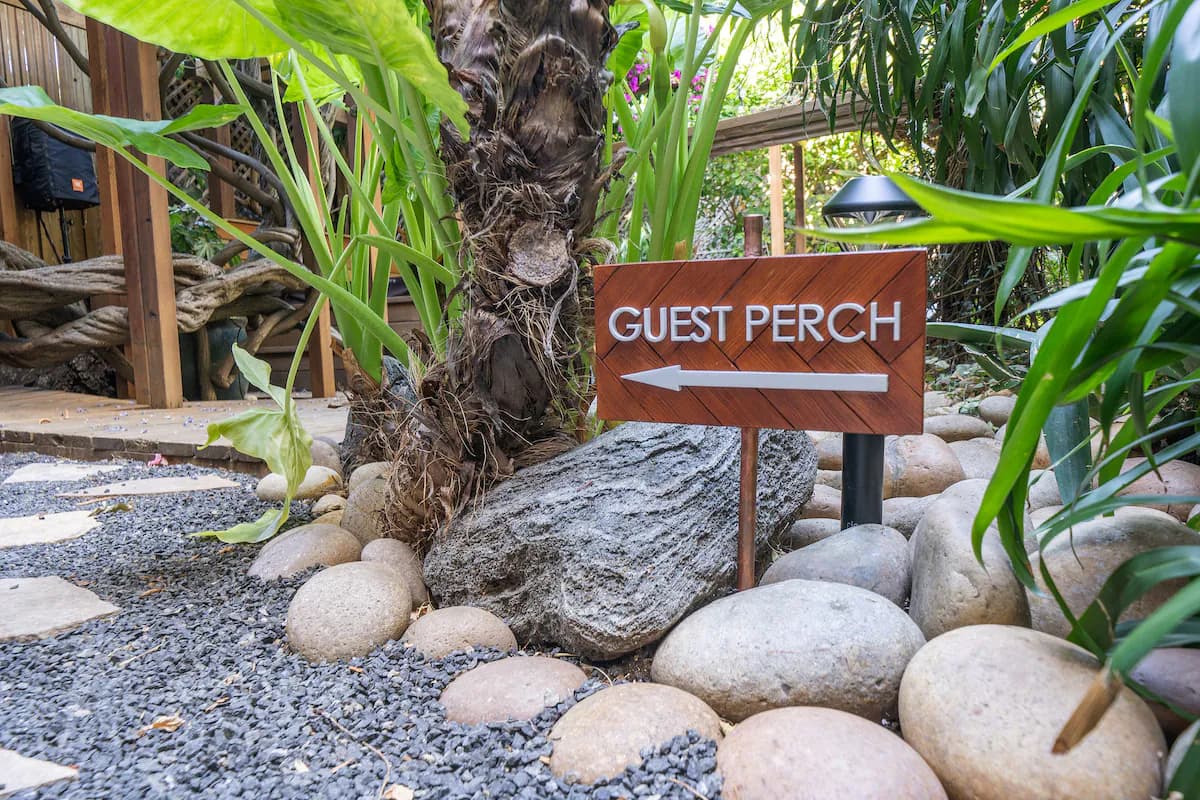 Guest Perch Art-Filled Retreat with Skyline Views - Photo 33
