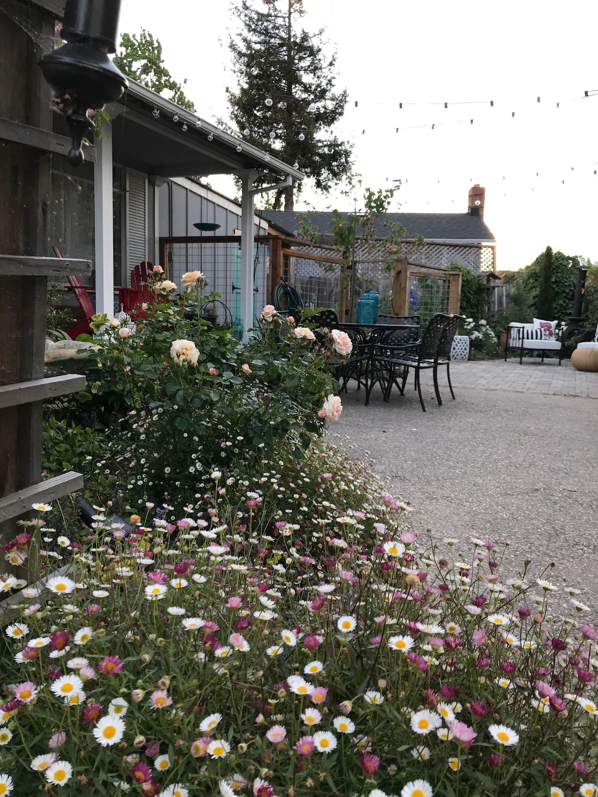 Charming Backyard Cottage in Sunnyvale Garden - Photo 17