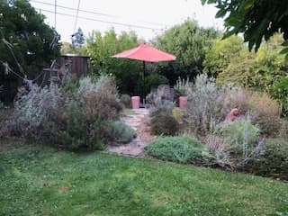 Peaceful Palo Alto garden retreat - Photo 4