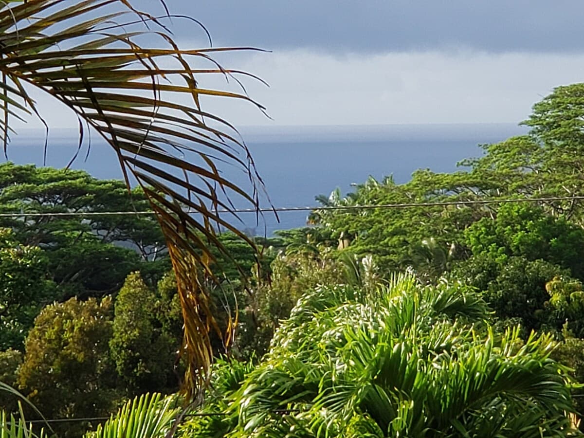 Private Country Cottage, Ocean View, A/C, Hana Hwy - Image 24