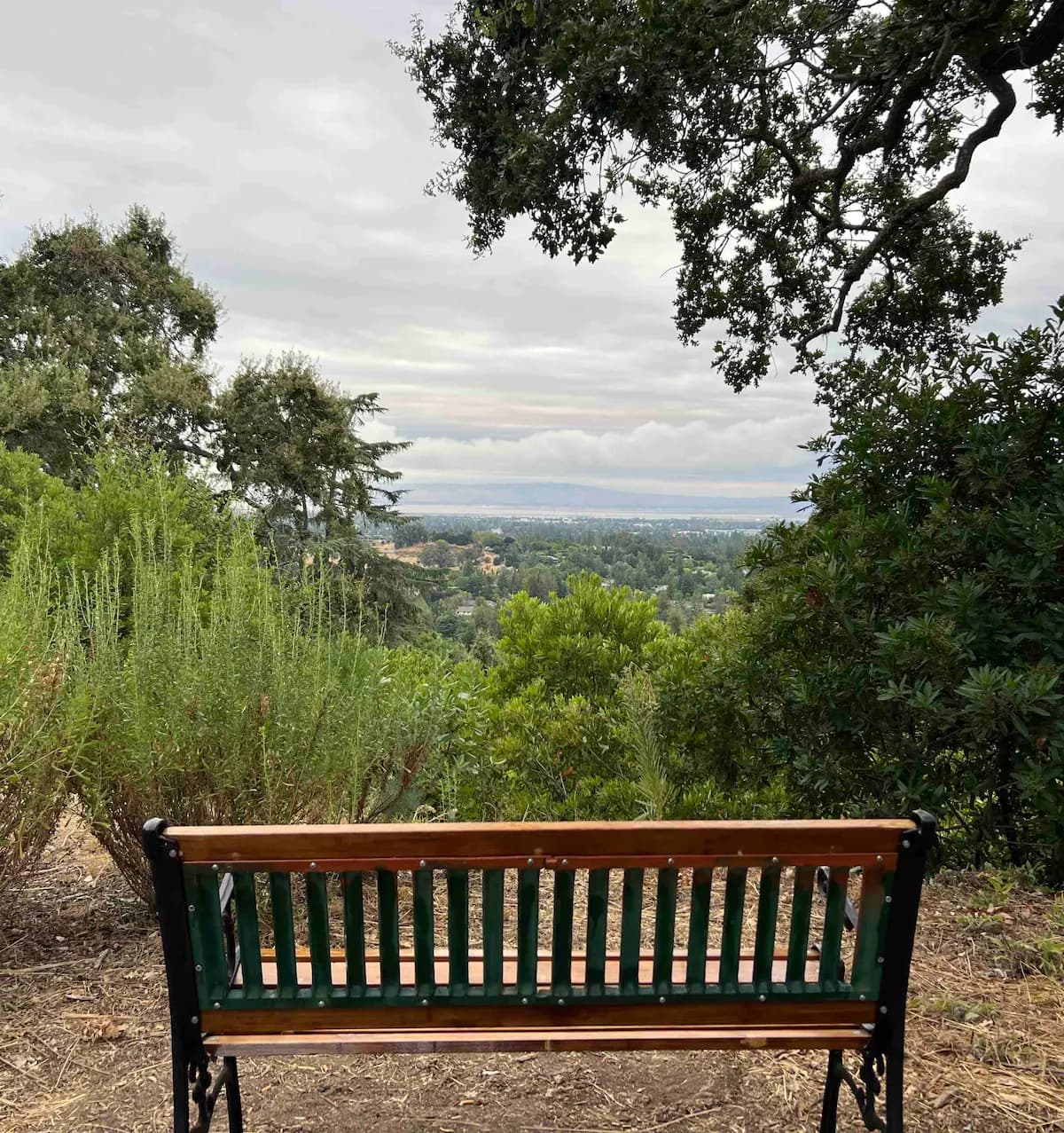 Guesthouse in Los Altos Hills · ★4.85 · 2 bedrooms · 2 beds · 1 bath - Image 47