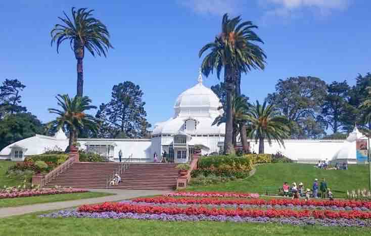 Inner Sunset Garden Retreat, Near Golden Gate Park - Photo 31