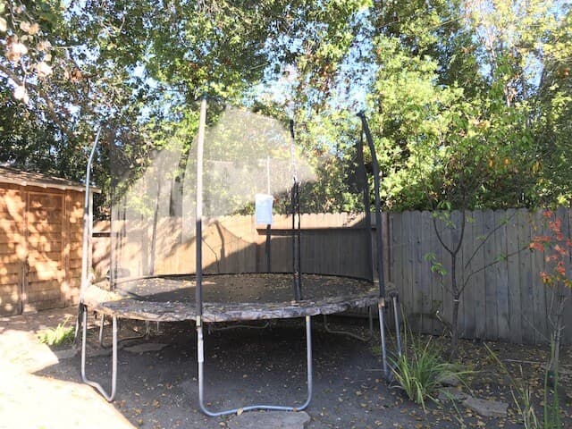 Quiet Palo Alto Home Near Stanford & Tech HQs - Photo 16