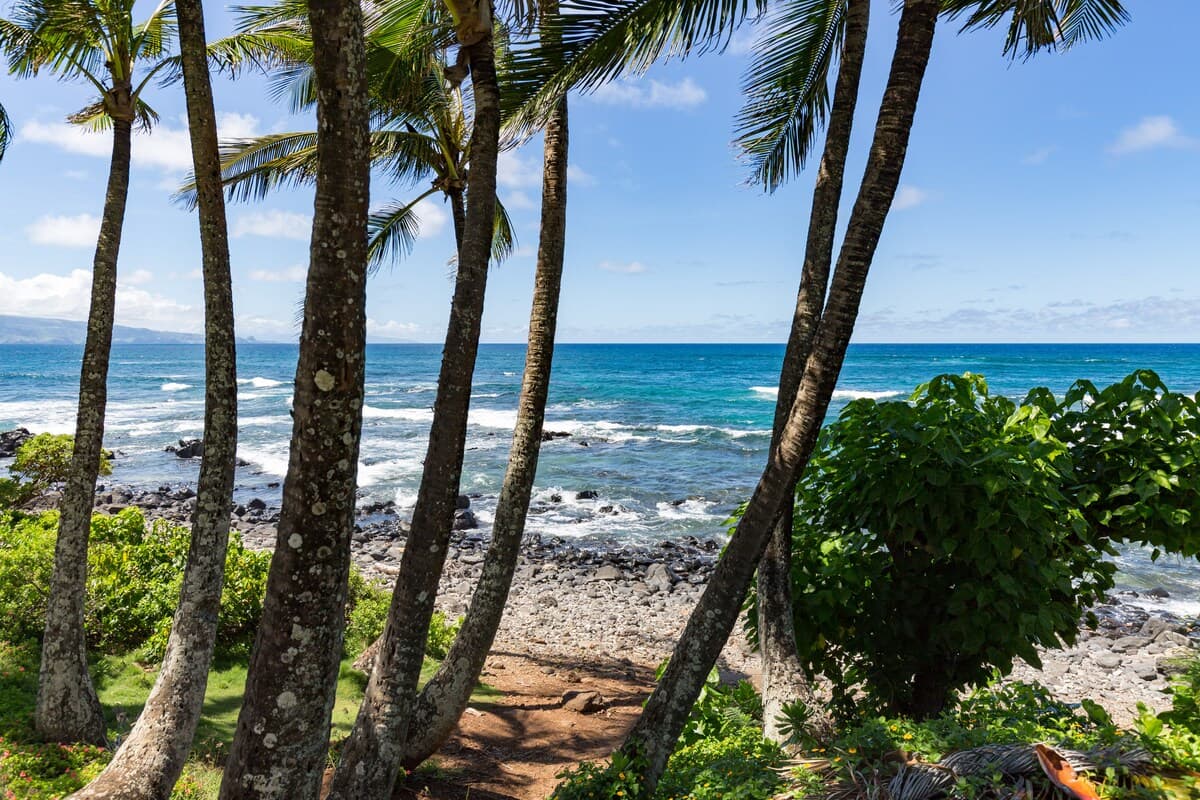 Charming Cottage in Kuau near Mama’s Beach - Image 25