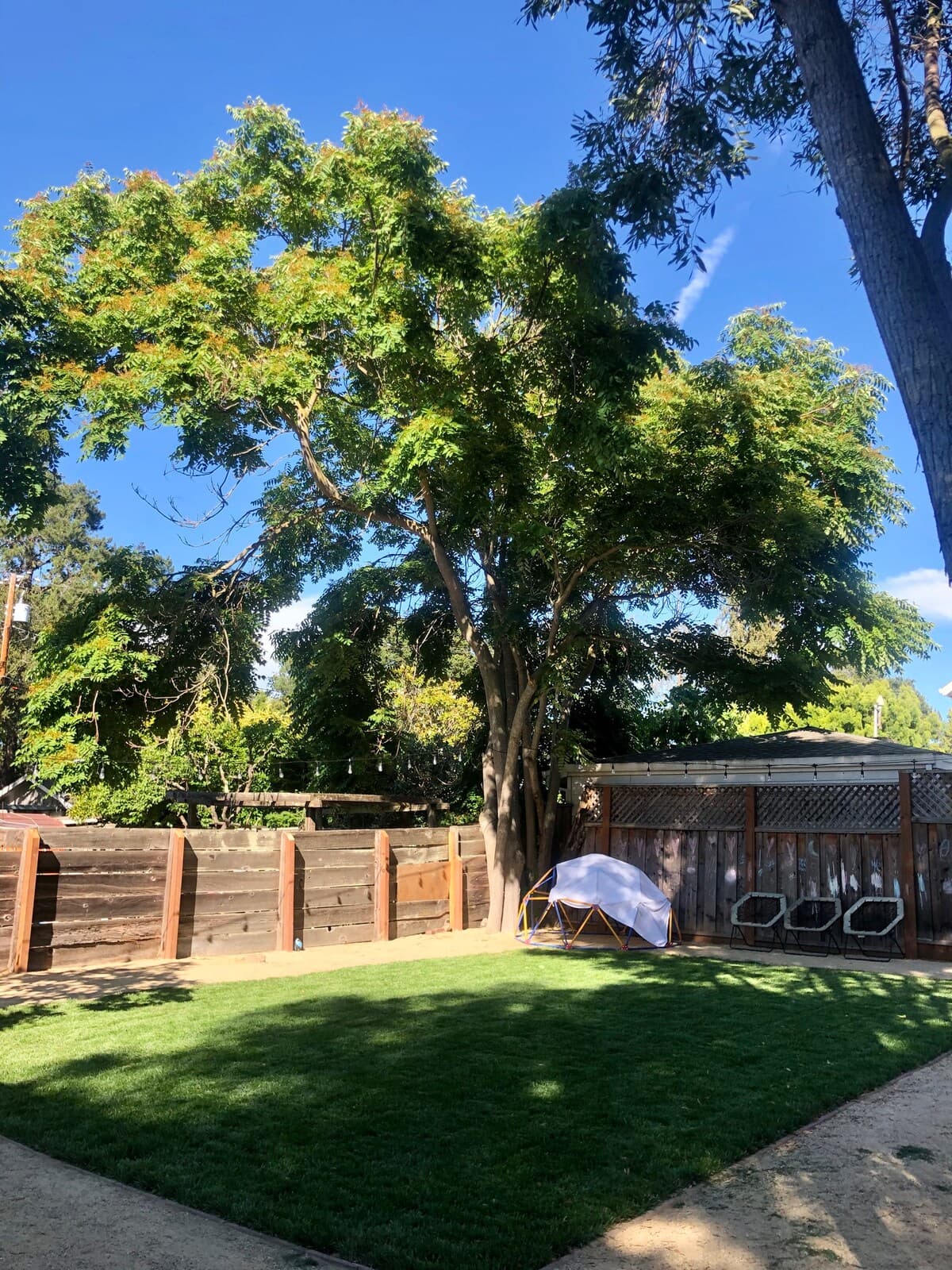 Home in Palo Alto · ★4.77 · 5 bedrooms · 7 beds · 2 baths - Image 17