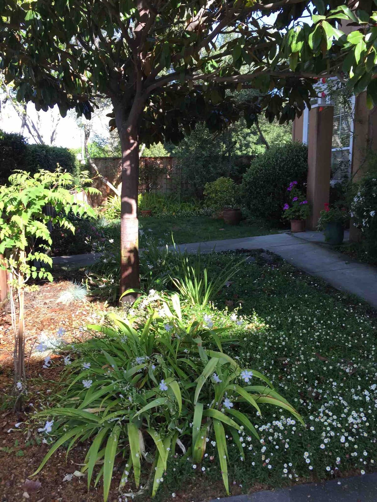 Home in Mountain View · ★4.94 · 2 bedrooms · 2 beds · 2.5 baths - Image 21