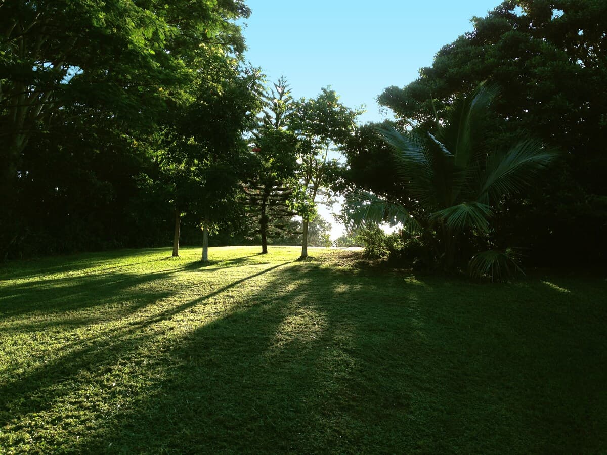 Guesthouse in Haiku-Pauwela · ★4.88 · Studio · 3 beds · 1 private bath - Image 12