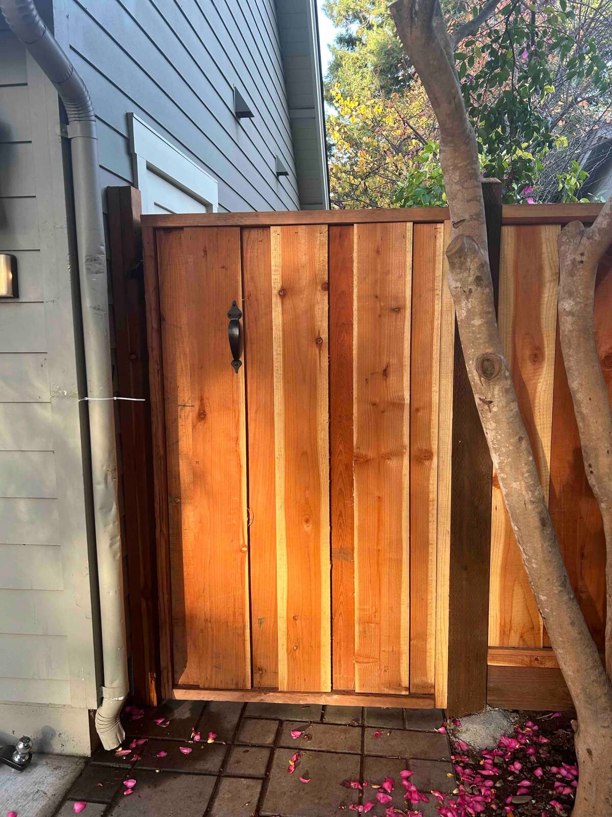 Guesthouse in Menlo Park · ★4.84 · Studio · 1 bed · 1 bath - Image 15