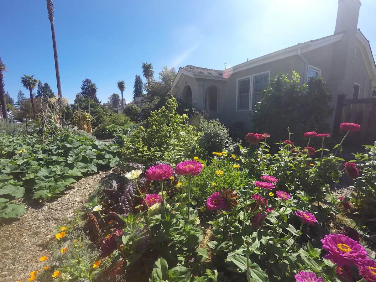 Guesthouse in Mountain View · ★4.96 · Studio · 1 bed · 1 bath - Image 9