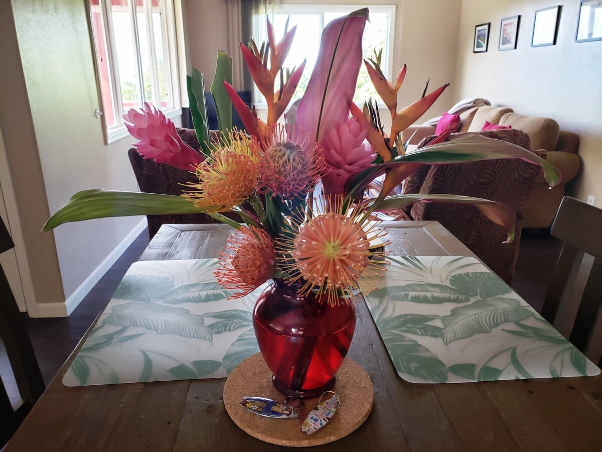 Private Country Cottage, Ocean View, A/C, Hana Hwy - Image 13