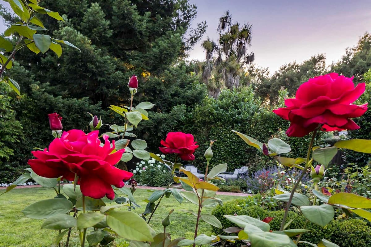 Home in Palo Alto · ★5.0 · 4 bedrooms · 4 beds · 3 baths - Image 20